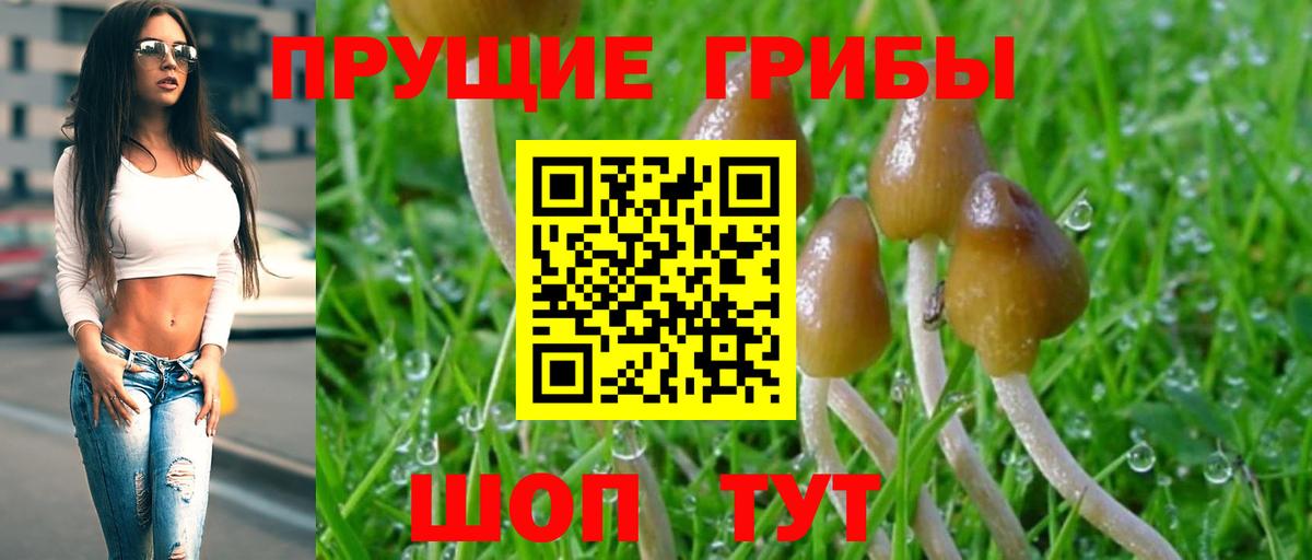 Гусев  Псилоцибиновые грибы Psilocybine cubensis  наркота  Псилоцибиновые грибы мухоморы  Вход с VPN 